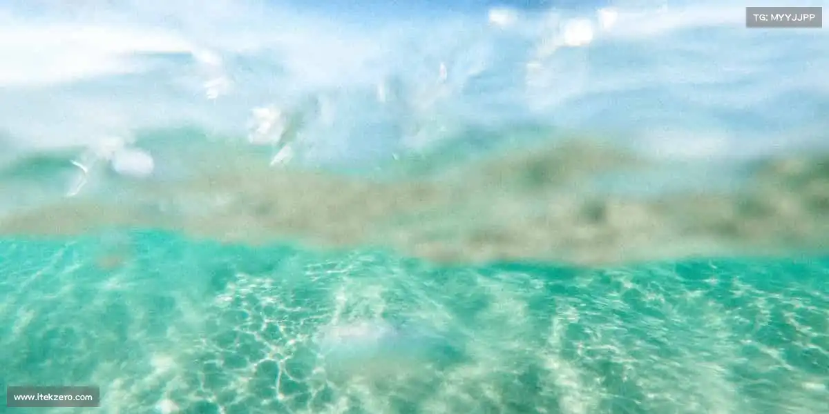 <strong>壹号娱乐-com</strong>🏐团队协作，个人突破，每一次挑战都是新的起点！一起来战！